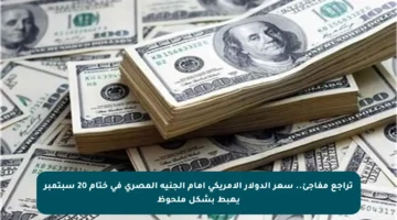تراجع مفاجئ.. سعر الدولار الأمريكي أمام الجنيه المصري في ختام 20 سبتمبر يهبط بشكل ملحوظ